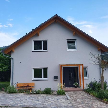 Fewo Am Neckarsteig Mit Anbindung An Heidelberg Neckarsteinach Exterior photo