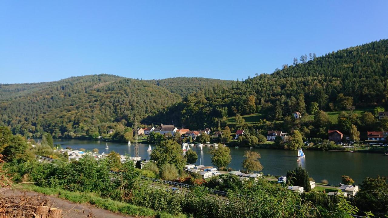 Fewo Am Neckarsteig Mit Anbindung An Heidelberg Neckarsteinach Exterior photo