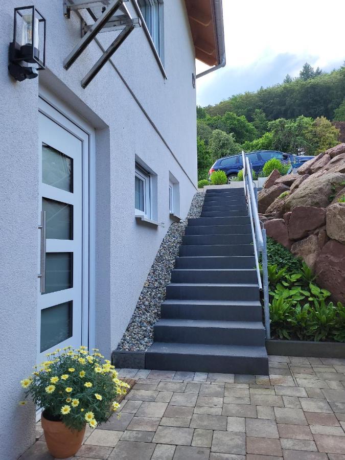 Fewo Am Neckarsteig Mit Anbindung An Heidelberg Neckarsteinach Exterior photo